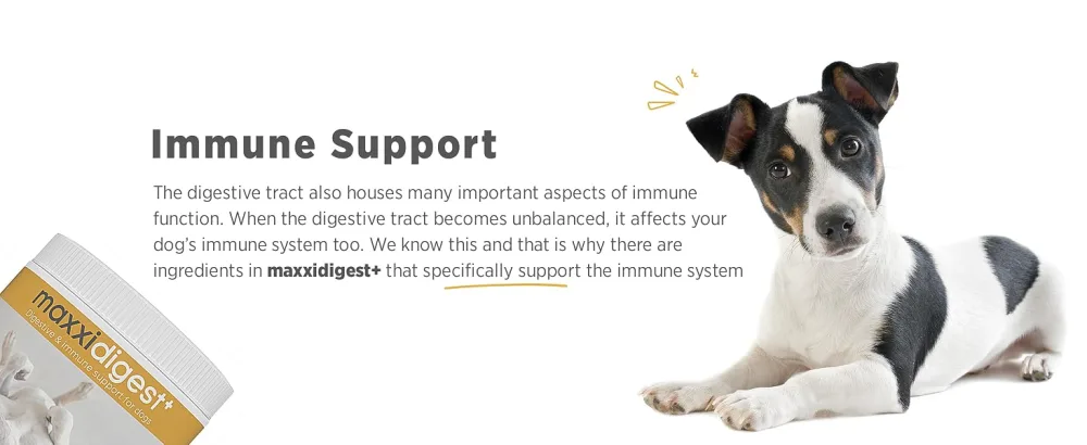 maxxipaws - maxxidigest+ probiotics prebiotics & digestion enzymes formula for dogs - Advanced canine digestive and immune system support - Non GMO powder - 375 g - MAXXIPAWS