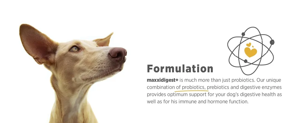 maxxipaws - maxxidigest+ probiotics prebiotics & digestion enzymes formula for dogs - Advanced canine digestive and immune system support - Non GMO powder - 375 g - MAXXIPAWS