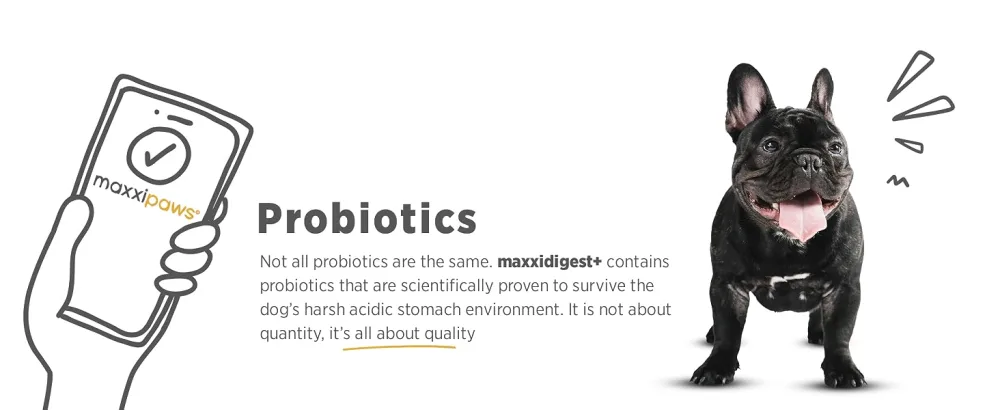 maxxipaws - maxxidigest+ probiotics prebiotics & digestion enzymes formula for dogs - Advanced canine digestive and immune system support - Non GMO powder - 375 g - MAXXIPAWS
