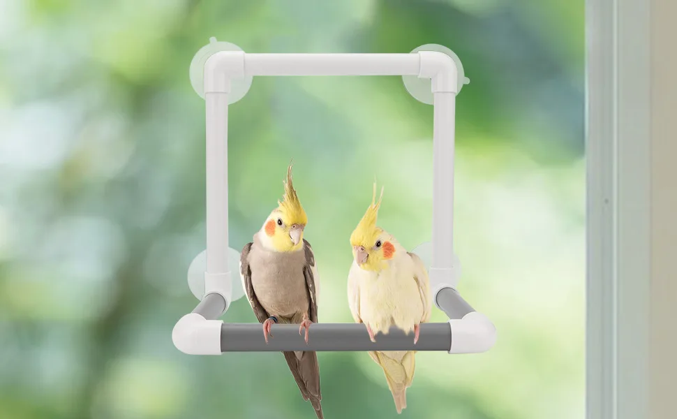 Bird Parrot Stand Perch Shower Perch Standing Toy Portable Suction Cup Parrot Bath Stands Suppllies Holder Platform Parakeet Window Wall Hanging Play (4 Suction Cups) - suction cup bird perch