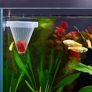 WEAVERBIRD 4PCS Aquarium Live Red Worm Fish Feeder Plastic Cone Shape Basket Shrimp Feedeing Cup with Sucker - Aquarium Fish Feeder