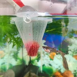 WEAVERBIRD 4PCS Aquarium Live Red Worm Fish Feeder Plastic Cone Shape Basket Shrimp Feedeing Cup with Sucker - Aquarium Fish Feeder
