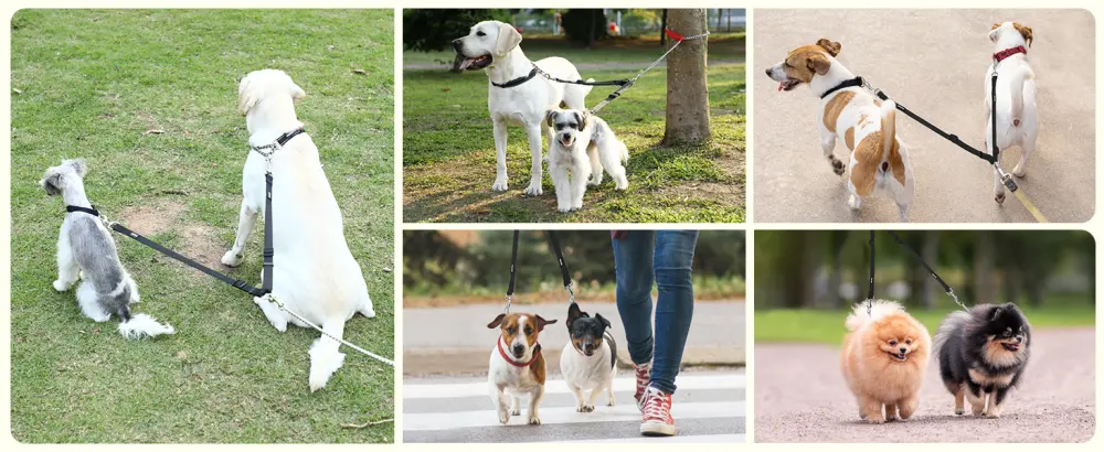 Adjustable Double Dog Lead Coupler No Tangle Nylon Twin 2 Pet Trainer Leash Splitter (M 16-23.6in Black) M 16-23.6in Black - Double Hooks match most dog collars and harnesses.