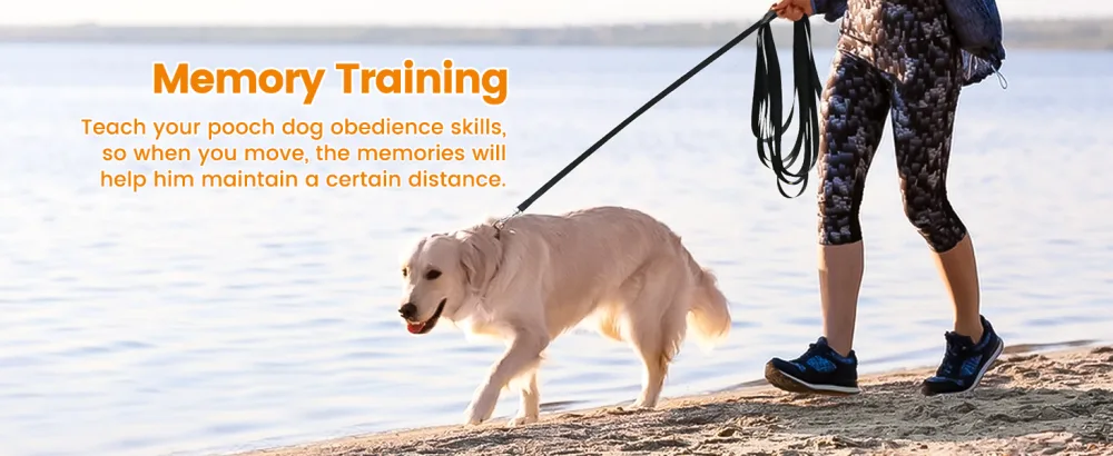 HAPPY HACHI Dog Training Lead 10m/33ft Long Line Nylon Leash for Small Medium Large Dogs Puppy Pets Recall Training Obedience Tracking Backyard Black Black 10m/33ft - Memory Training