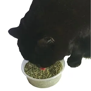 Cat Grass Kits x3 and Extra Strong Catnip x1 By Cat FurNature - meep lick