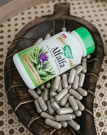 Nature's Way Alfalfa Leaves - 100 Capsules - alfalfa