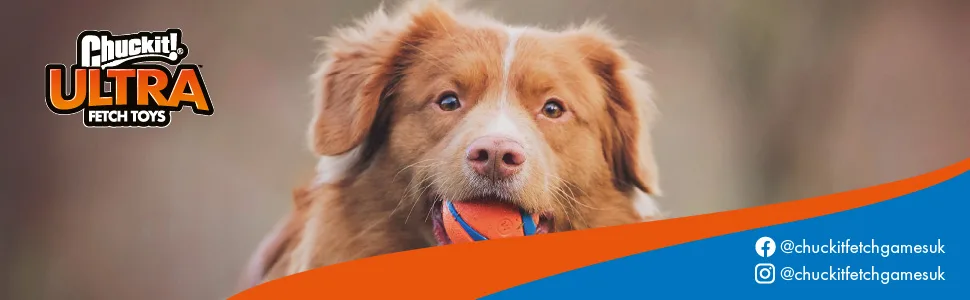 Chuckit! Ultra Flight Frisbee Rubber Dog Toy Extended Distance & Flight Time For Interactive Fetch Play - chuckit