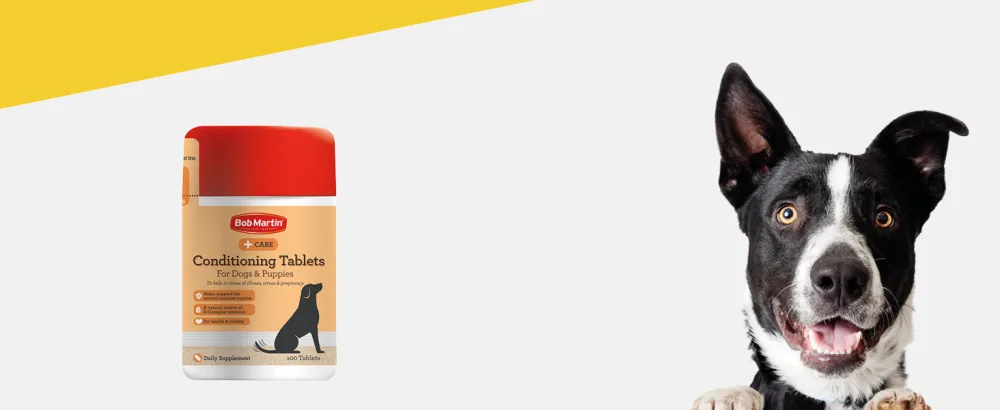 Bob Martin Conditioning Tablets for Dogs (100 Tablets) - Rich in Vitamins Supports a Healthy Immune System Nutritional Tasty Supplement - dog conditioning tablets