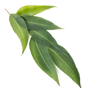 Support Lavender & Peppermint Bath & Shower Oil - Eucalyptus