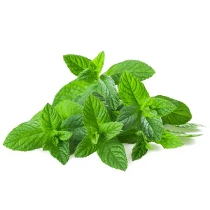 Support Lavender & Peppermint Bath & Shower Oil - Peppermint