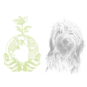Helan - Home Fragrances Cocoa Ginger Aromatic Sticks 250 mL 250 ml Cacao E Zenzero - respect the environment and animals