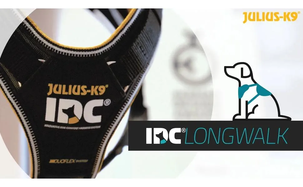 Interchangeable Patches 1 pair IN TRAINING Size: Large Black - product information 1