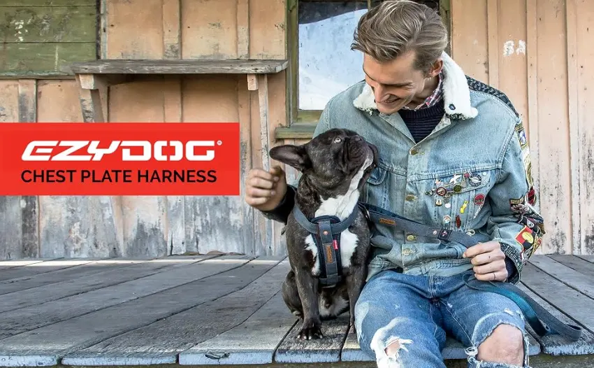 EZYDOG Classic Chest Plate Harness | Dog Harness Small Medium Large K9 Dog Harness Reflective Stitching No Pull Breathable (Black) Small Black - chest-plate-harness-module-1-image-1