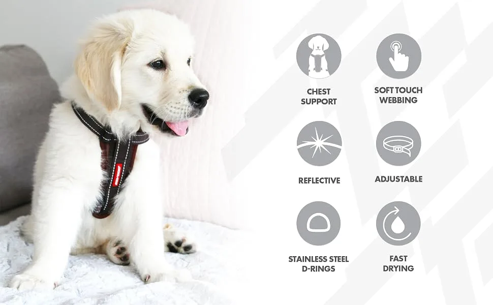EZYDOG Classic Chest Plate Harness | Dog Harness Small Medium Large K9 Dog Harness Reflective Stitching No Pull Breathable (Black) Small Black - chest-plate-harness-module-1-image-2