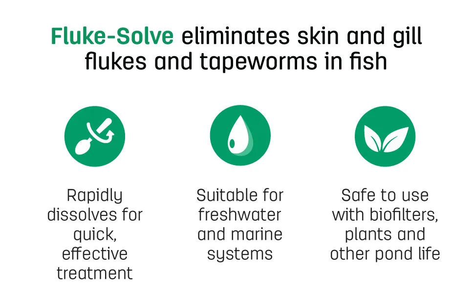 Vetark Fluke-Solve 10g - Vetark Fluke-Solve Treats Flukes and Tapeworms in Pond & Aquarium Fish