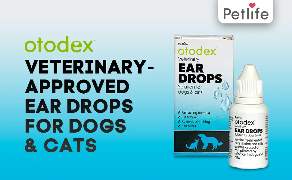 Otodex Petlife Ear Drops 14 ml - Veterinary eardrops, eardrops for pet, dog eardrops, cat eardrops, wax removal, ear wax removal