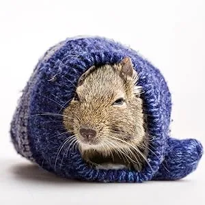 Supreme Petfoods Science Selective Degu 1.5kg - Degu