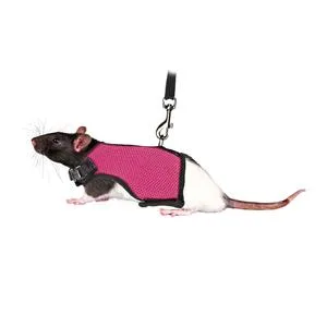 Trixie 61511 Harness for Small Animals for Rats Nylon 9 - 12 cm / 12 - 18 cm - Assorted colors Assorted 9-12 cm/12-18 cm - product information 2