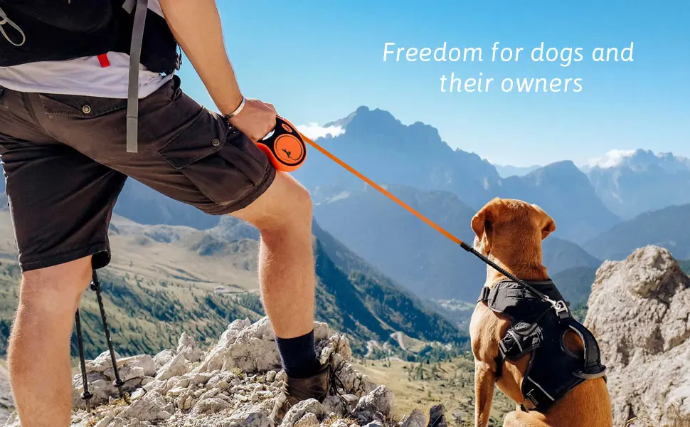 Flexi Basic Standard Cord Black Medium 5m Retractable Dog Leash/Lead for dogs up to 20kgs/44lbs - Freedom for dogs and their owners