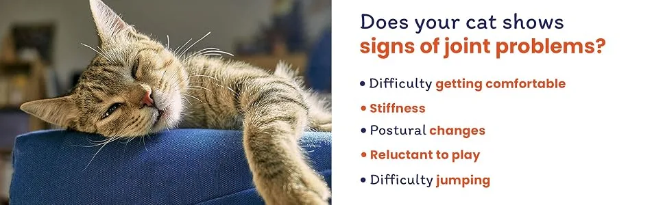 Flexadin Joint Care for Cats | Joint Supplement Chews for Cats | Aids Mobility & Flexibility | Glucosamine Chondroitin Omega 3 & Vitamin E | 60 Chews - Difficulty getting comfortable, stiffness, postural changes, reluctant to play, difficulty jumping