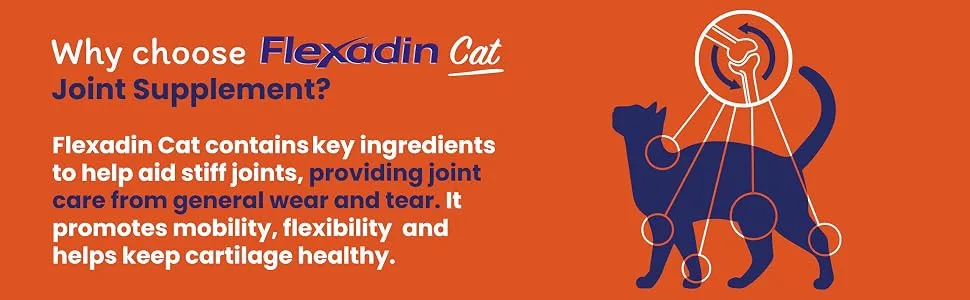Flexadin Joint Care for Cats | Joint Supplement Chews for Cats | Aids Mobility & Flexibility | Glucosamine Chondroitin Omega 3 & Vitamin E | 60 Chews - Flexadin Cat contains key ingredients to help aid stiff joints, providing joint care