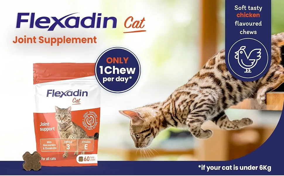 Flexadin Joint Care for Cats | Joint Supplement Chews for Cats | Aids Mobility & Flexibility | Glucosamine Chondroitin Omega 3 & Vitamin E | 60 Chews - soft, tasty chicken flavoured chews