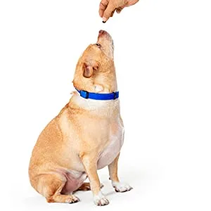 Pet MD Wrap A Pill Bacon Flavour Pill Paste for Dogs - Create a Pocket to Hide Pills and Medication - 59 Servings - Low in Calories So It Won