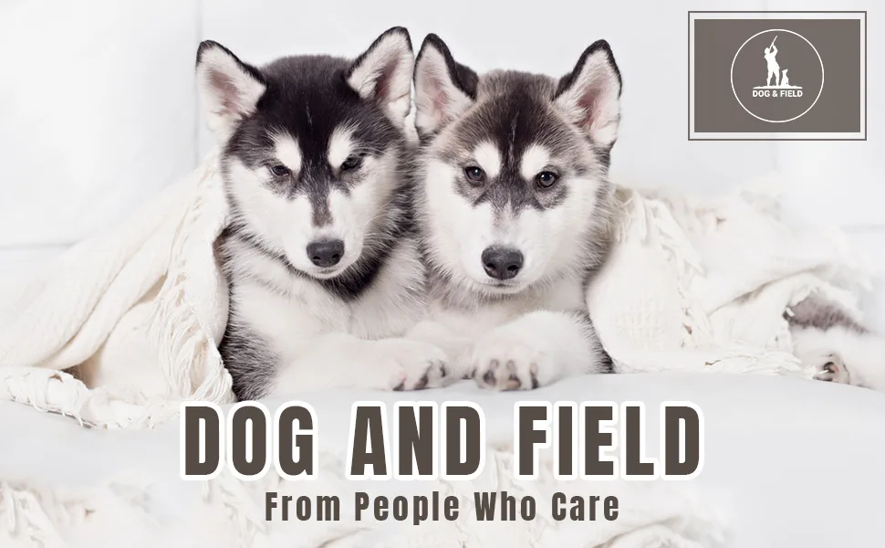 Dog & Field Training Lead - 6 meter Long Training/Exercise Lead - Super Soft Braided Nylon - Train or Exercise Your Dog Whilst Remaining in Full Control - 6 meter Long Training / Exercise Lead