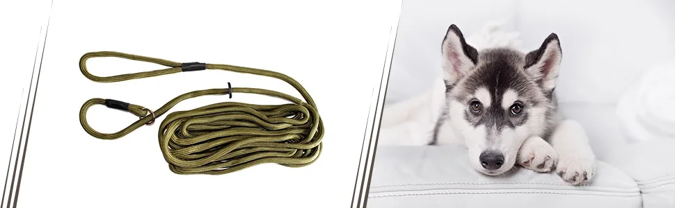 Dog & Field Training Lead - 6 meter Long Training/Exercise Lead - Super Soft Braided Nylon - Train or Exercise Your Dog Whilst Remaining in Full Control - 6 meter Long Training / Exercise Lead