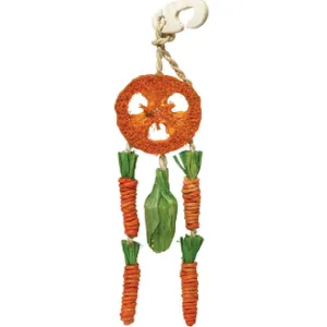 Rosewood Boredom Breaker Carrot Dream Catcher for Small Animals clear - product information 3