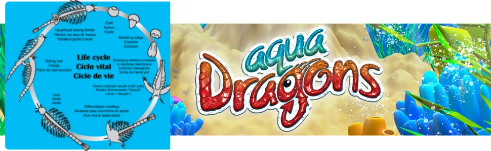 Aqua dragons Underwater World Aquarium Single - Banner Ciclo Vital
