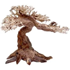 Amtra - Oriental Wind 5 wood handmade for aquarium 25x10x18 CM brown Small - product information 2