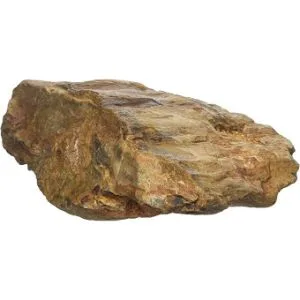 Amtra - Petrified rock aquarium decoration natural non-limestone 0.5 KG . Small 0.5 kg Single - product information 2