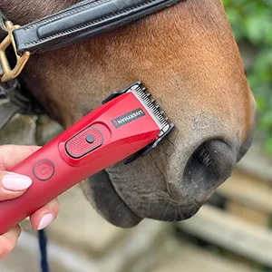 Liveryman Nova Trimmer - Liveryman Nova Trimmer clipper horse face