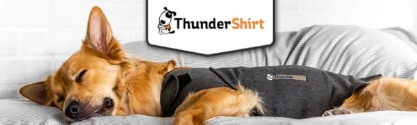 ThunderShirt: Calming Jacket for Dogs Instant Natural Relief for Anxiety Fireworks Travel Thunder - Grey Jacket 5 sizes XS Grey XS - Thundershirt