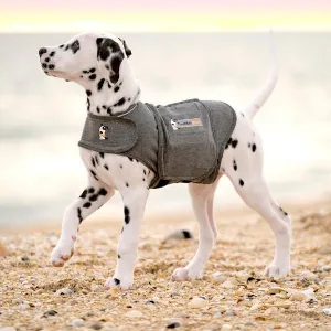 Thundershirt Apparel Thundershirt Grey XS UK - Thundershirt Dalmatian