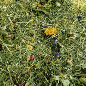 Komodo Tortoise Edible Bedding 10L by Komodo Single - Komodo