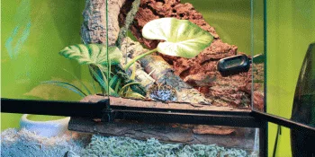 Komodo Aspen Bed Terrain 12 Litre - Komodo