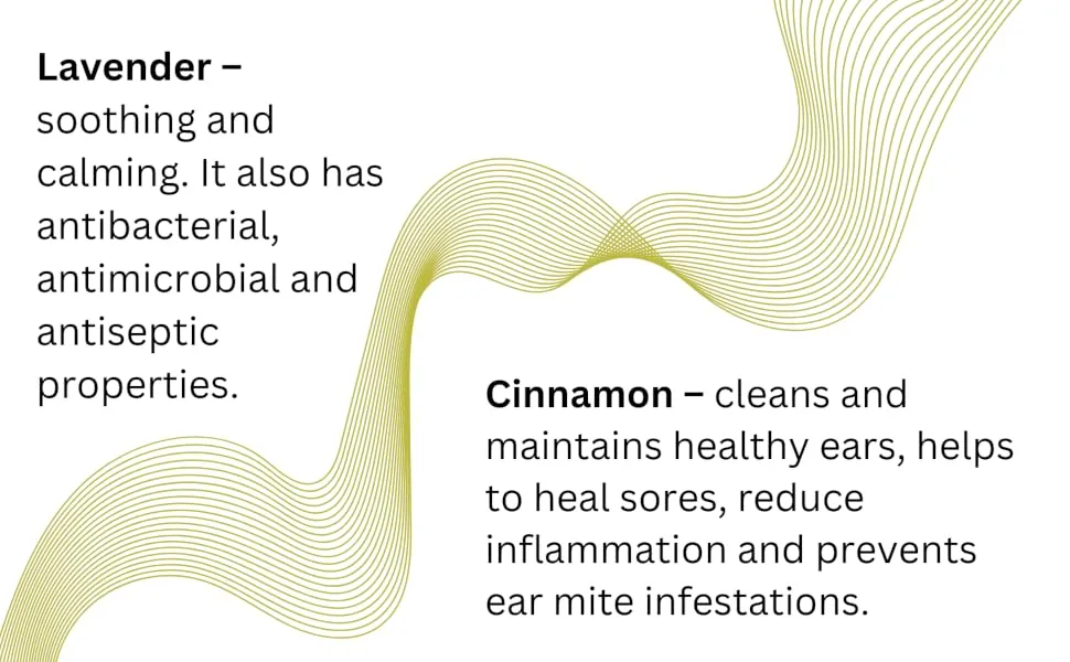 Natures Greatest Secret Antibacterial Ear Drops for Dogs Soothes Cleans & Protects with Colloidal Silver & Essential Oils 30ml Single - ear2