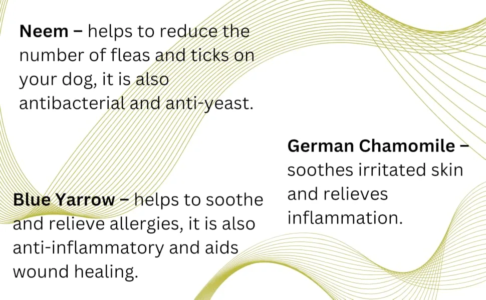 Natures Greatest Secret Antibacterial Ear Drops for Dogs Soothes Cleans & Protects with Colloidal Silver & Essential Oils 30ml Single - ear3