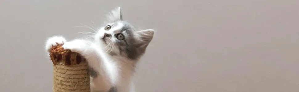 Pet Power Cat Urine Destroyer - Inspired Scratch No More Cat Deterrent Repellent Spray