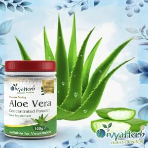 Aloe Vera Powder - Aloe Vera Powder