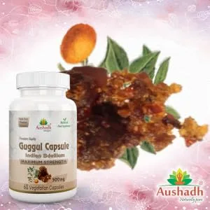 Pure Guggul Capsule - Pure Guggul Capsule