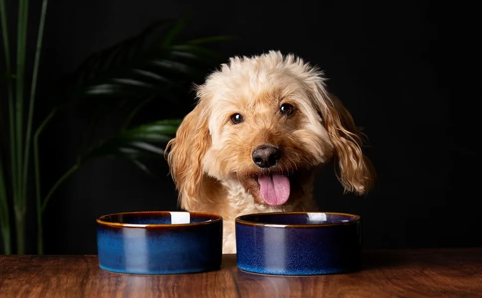 Scruffs Ceramic Heavy Duty Reactive Glaze Pet Bowls - 2pc Set - 15cm Midnight Blue 15cm - Reactive 1