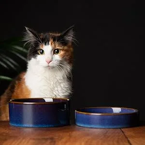 Scruffs Ceramic Heavy Duty Reactive Glaze Pet Bowls - 2pc Set - 15cm Midnight Blue 15cm - Reactive 12