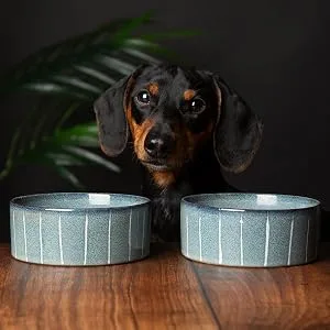 Scruffs Ceramic Heavy Duty Reactive Glaze Pet Bowls - 2pc Set - 15cm Midnight Blue 15cm - Reactive 13