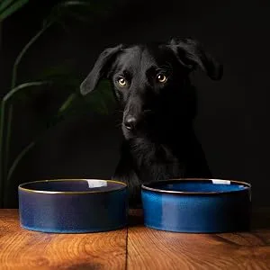 Scruffs Ceramic Heavy Duty Reactive Glaze Pet Bowls - 2pc Set - 15cm Midnight Blue 15cm - Reactive 9