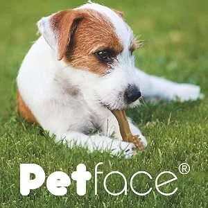 Petface Honking and Squeaky Duck Plush Dog Toy - Petface