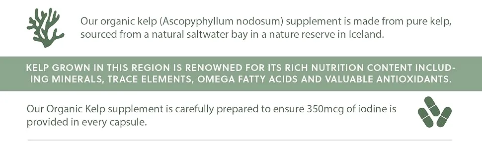 Organic Kelp Supplement | 500mg Kelp per Capsule | Source of Iodine 435mcg | 120 Vegan Capsules | G&G Vitamins - Organic Kelp