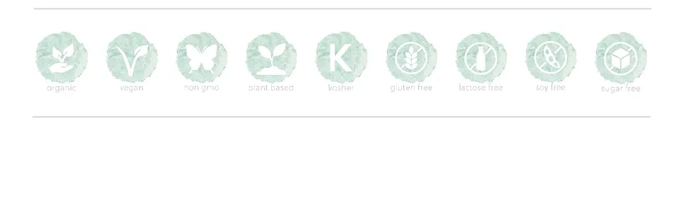 Organic Kelp Supplement | 500mg Kelp per Capsule | Source of Iodine 435mcg | 120 Vegan Capsules | G&G Vitamins - Organic Kelp
